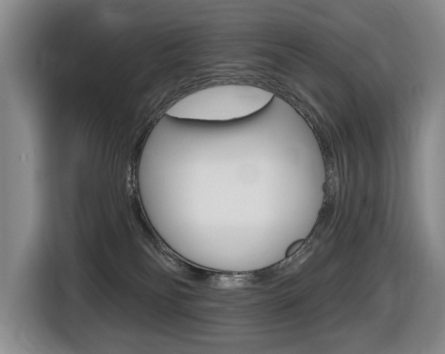 X0000116510134200912090955