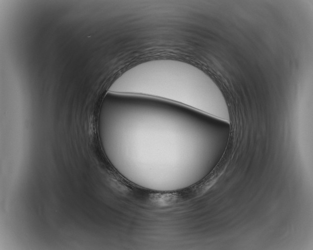 X0000116510135200912090955