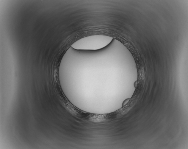 X0000116510138200912090955