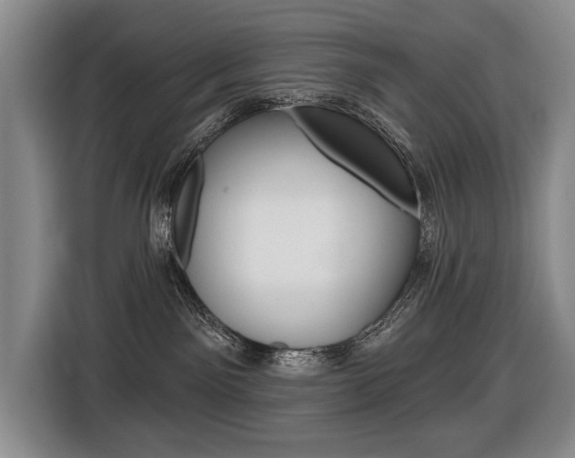X0000116510141200912090955