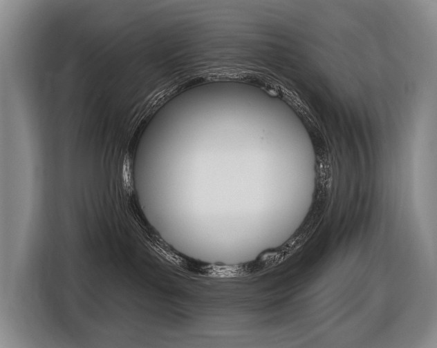 X0000116510143200912090955