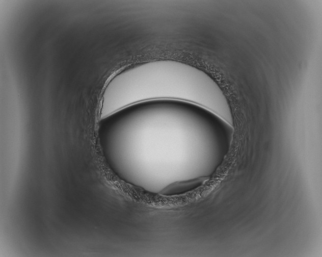 X0000116510144200912090955
