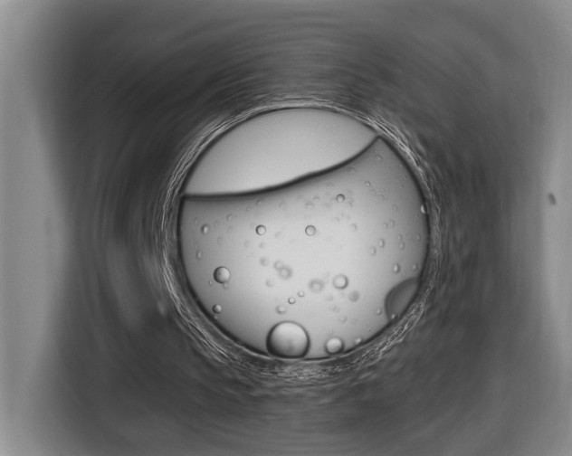 X0000116510145200912090954