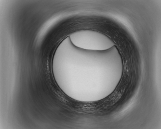 X0000116510146200912090954