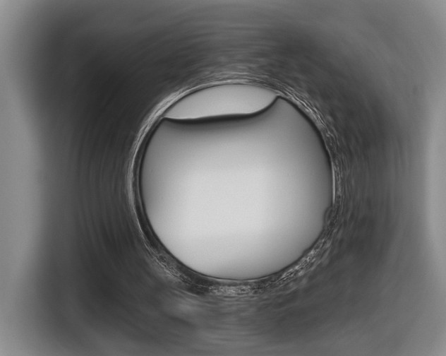X0000116510147200912090954