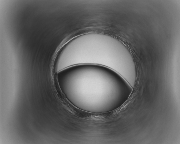 X0000116510150200912090954