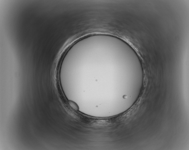 X0000116510151200912090954