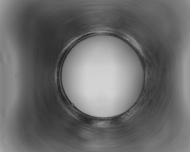 X0000116510155200912090954
