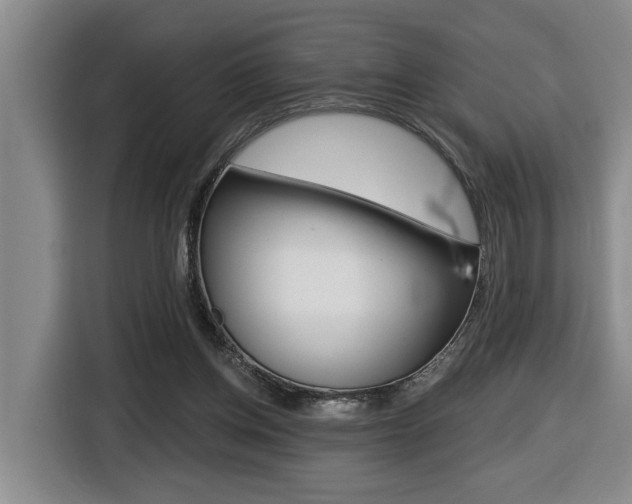 X0000116510158200912090954