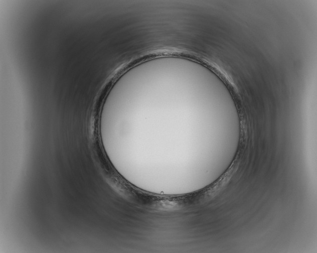 X0000116510159200912090954