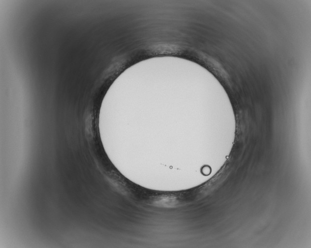 X0000116510162200912090954