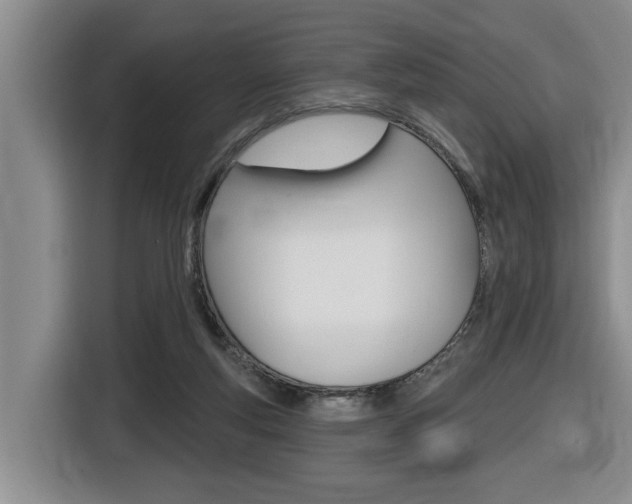 X0000116510163200912090954