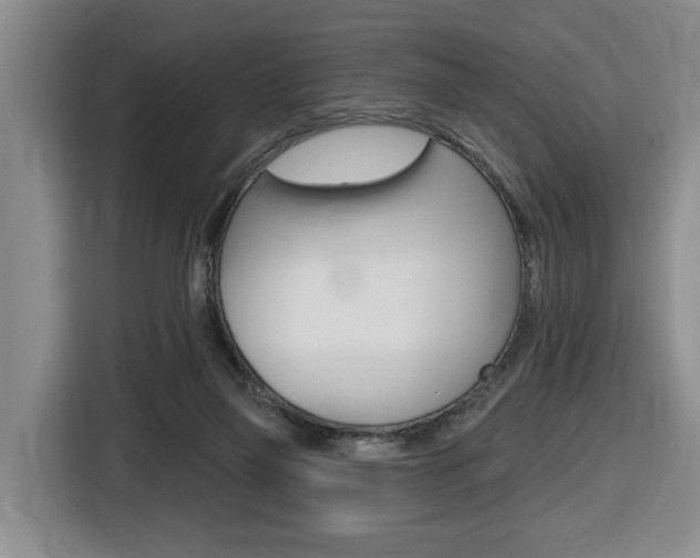 X0000116510165200912090954