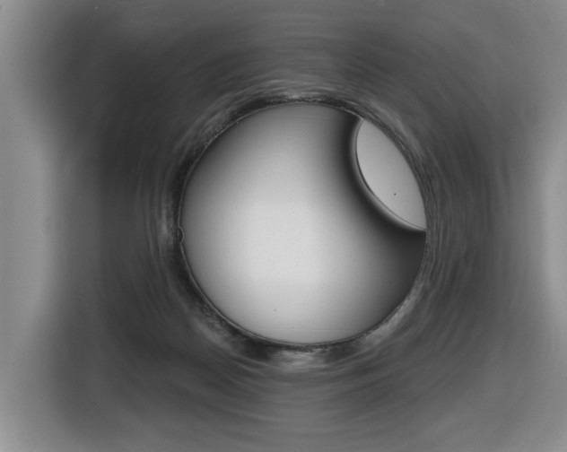 X0000116510170200912090954