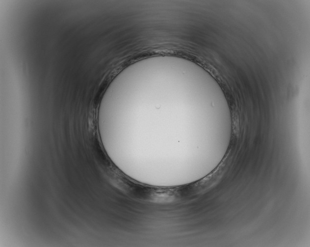 X0000116510175200912090954