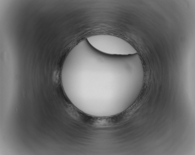 X0000116510177200912090954