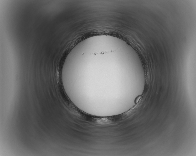 X0000116510183200912090954