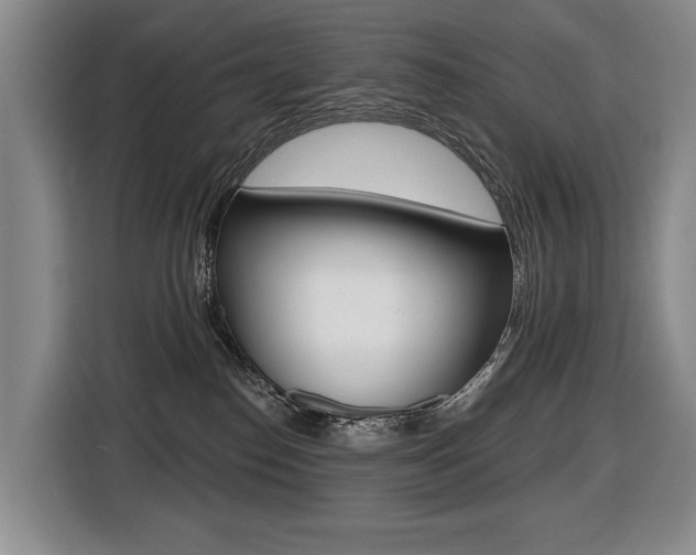 X0000116510186200912090954