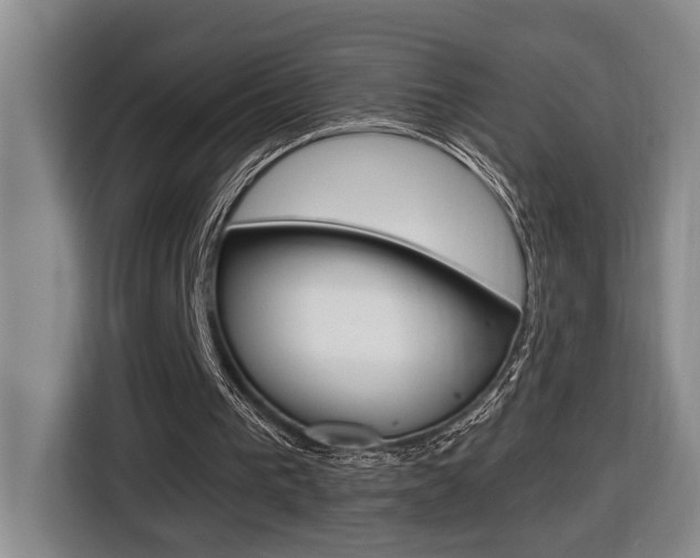 X0000116510193200912090954