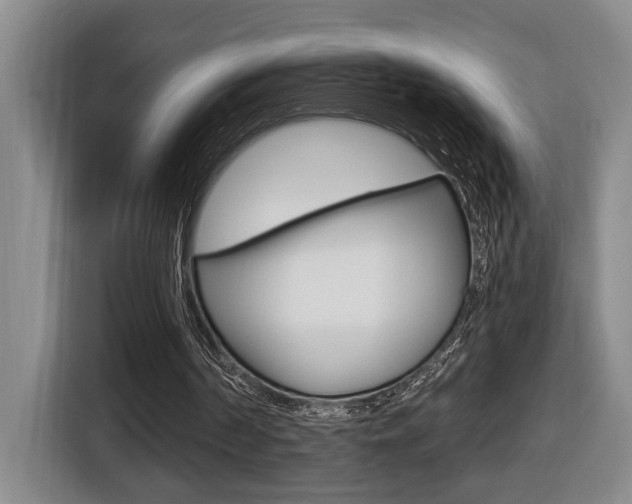 X0000116510194200912090954