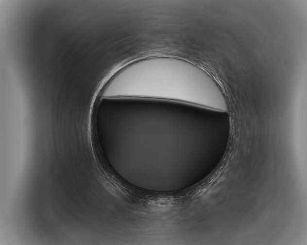 X0000116510196200912090954