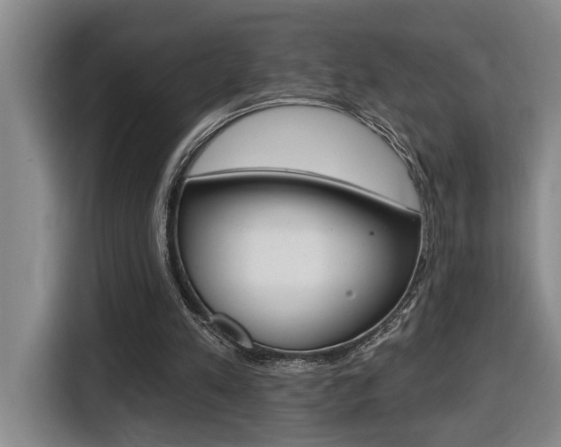X0000116510197200912090954