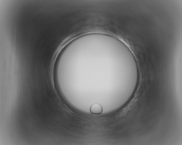 X0000116510199200912090954