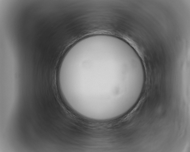 X0000116510201200912090954