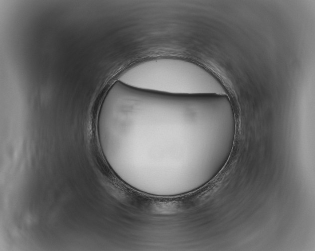 X0000116510202200912090954