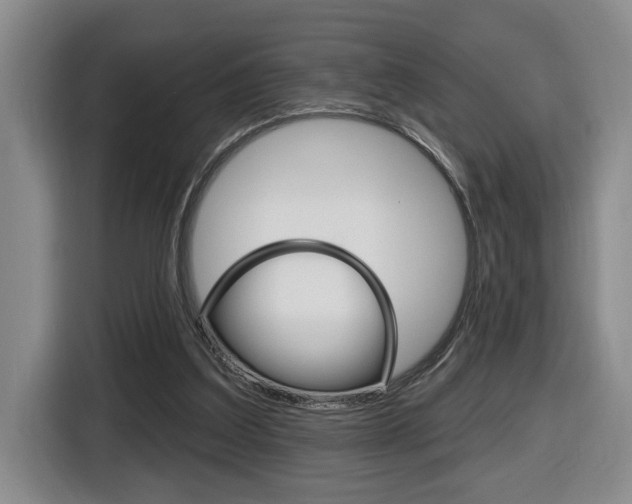X0000116510203200912090954