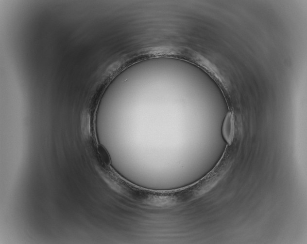 X0000116510205200912090954