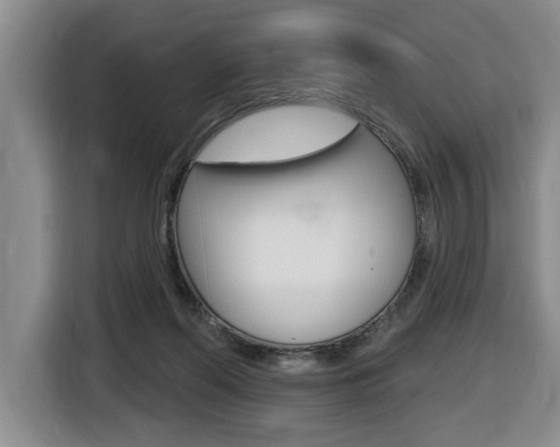 X0000116510214200912090954