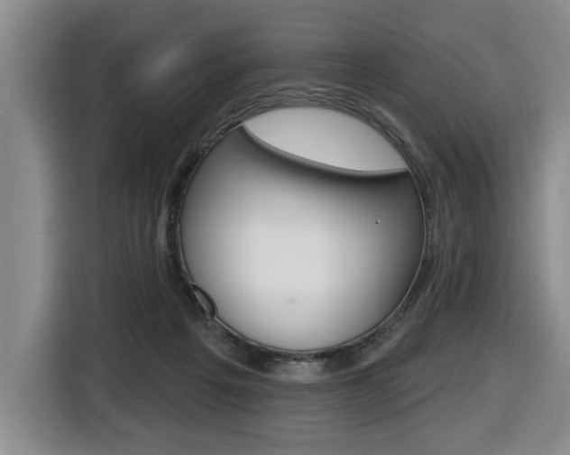 X0000116510217200912090954