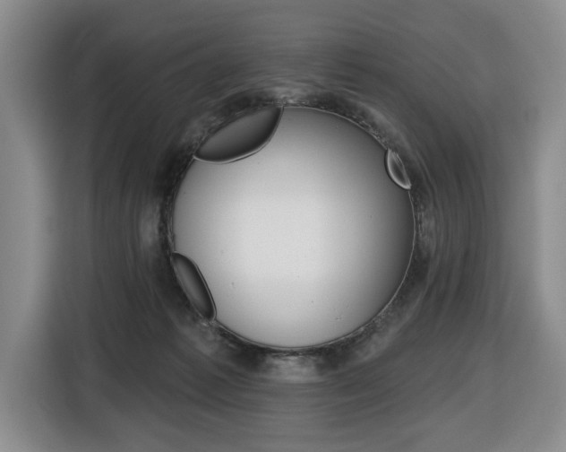 X0000116510221200912090954