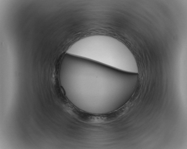 X0000116510223200912090953