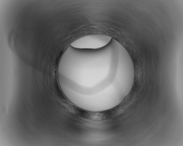 X0000116510226200912090953