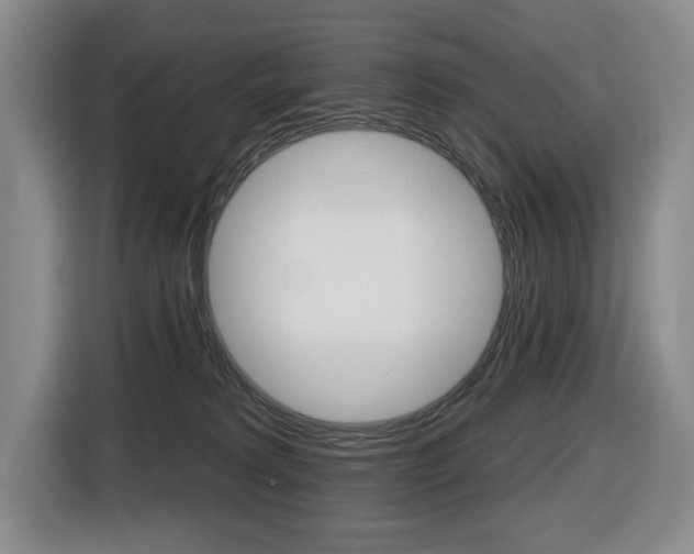 X0000116510229200912090953