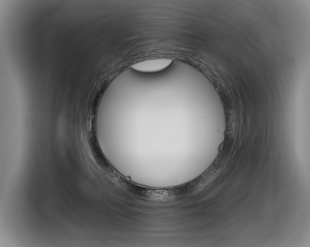 X0000116510230200912090953