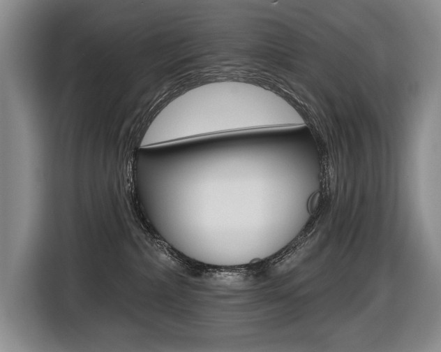 X0000116510236200912090953
