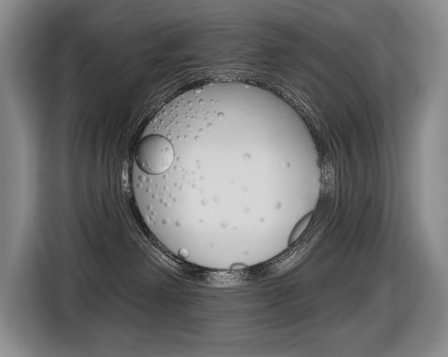 X0000116510238200912090953