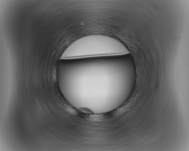 X0000116510240200912090953