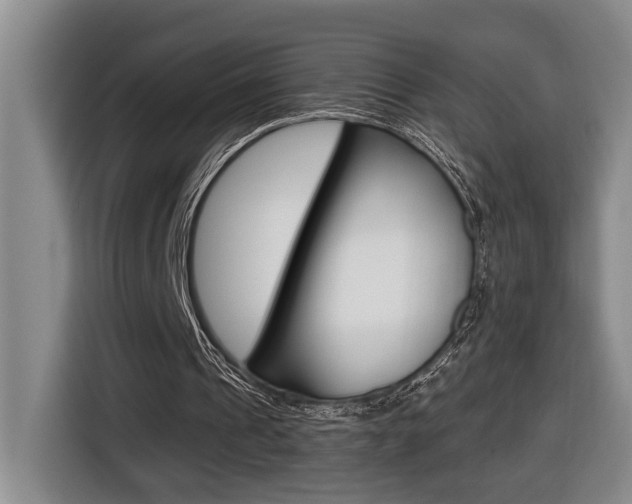 X0000116510241200912090953