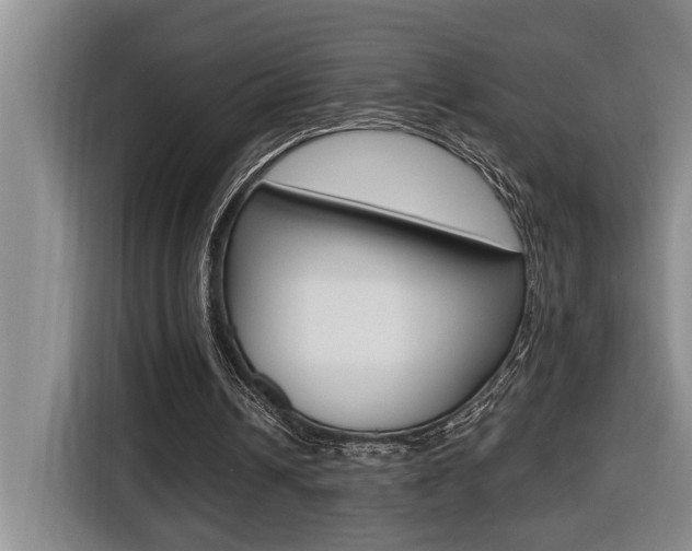X0000116510242200912090953