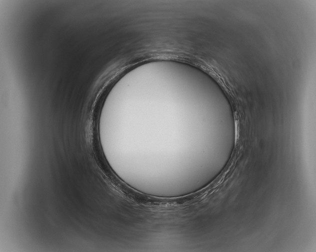 X0000116510243200912090953