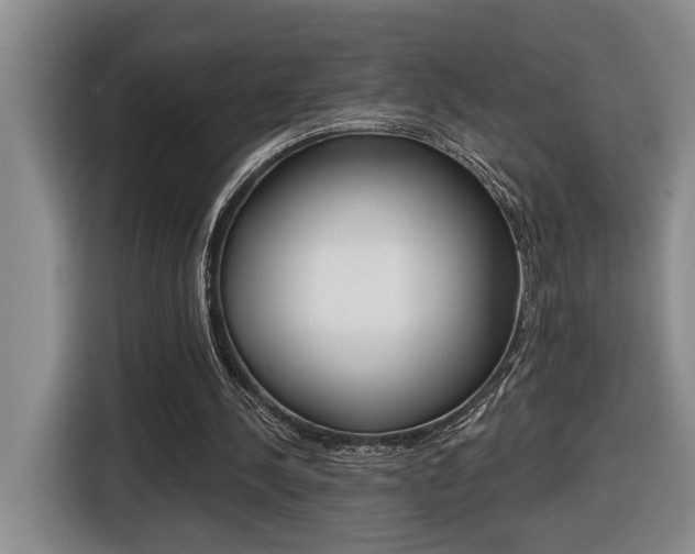 X0000116510244200912090953