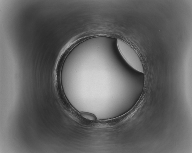X0000116510246200912090953