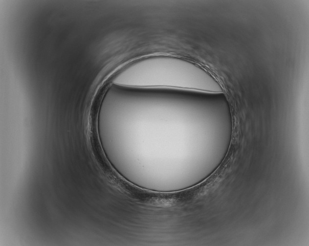 X0000116510247200912090953