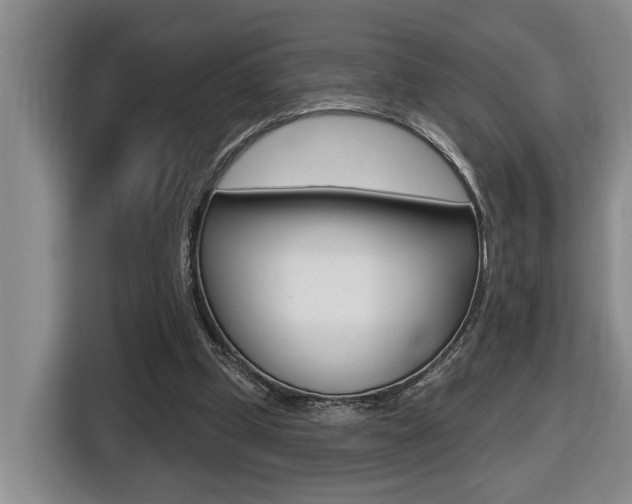 X0000116510249200912090953
