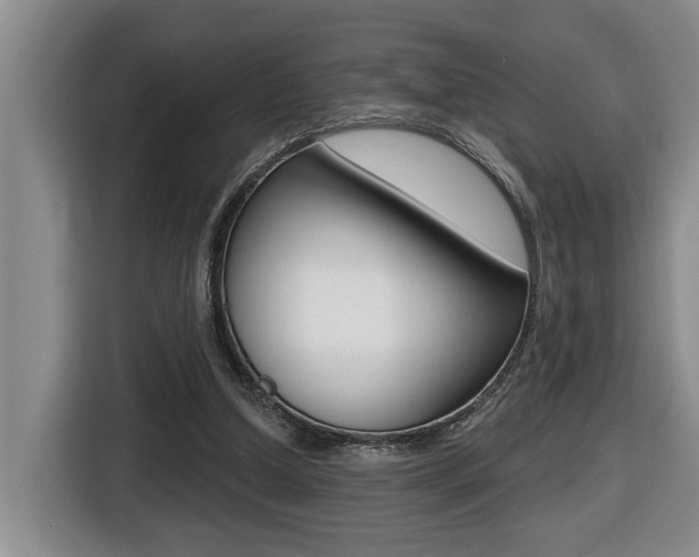 X0000116510250200912090953