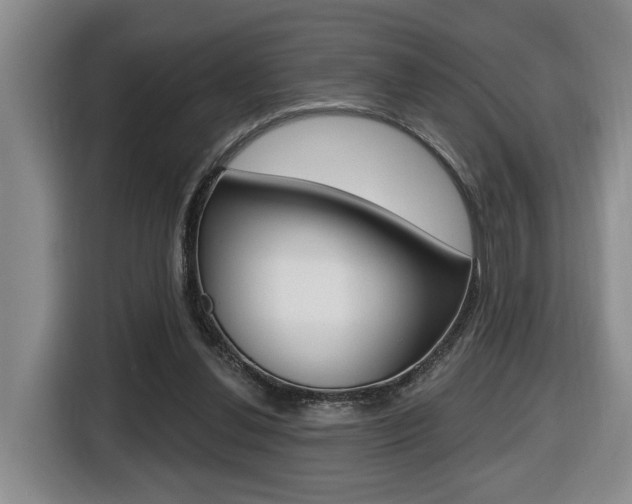 X0000116510252200912090953